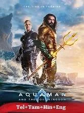 Aquaman and the Lost Kingdom (2023) HDRip Hindi Dubbed